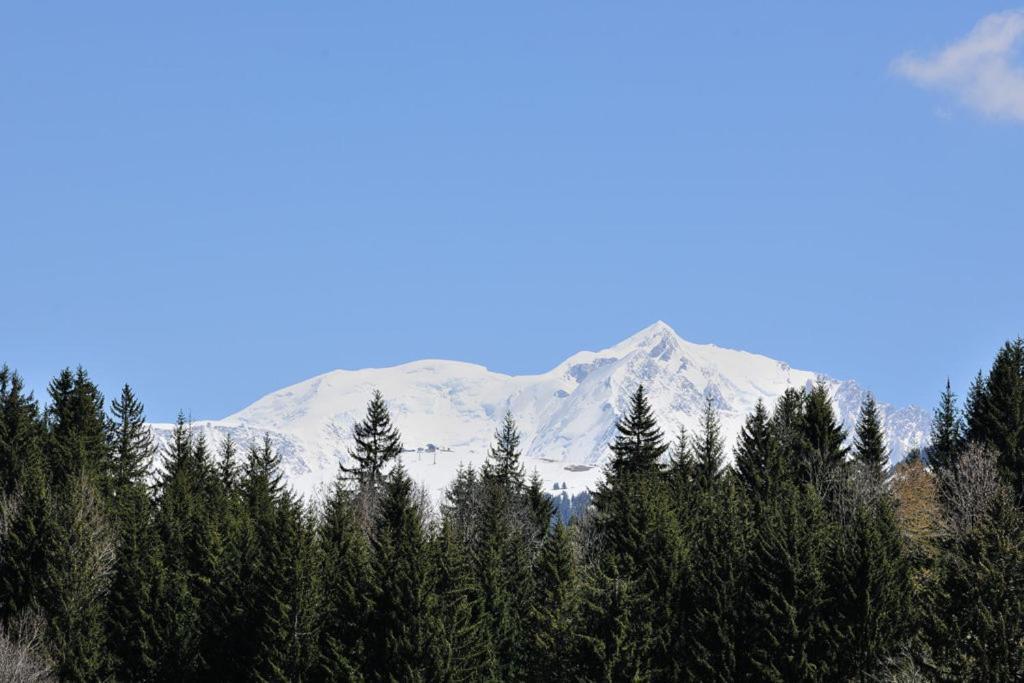 Chalet Le Prariand - Megève Eksteriør bilde